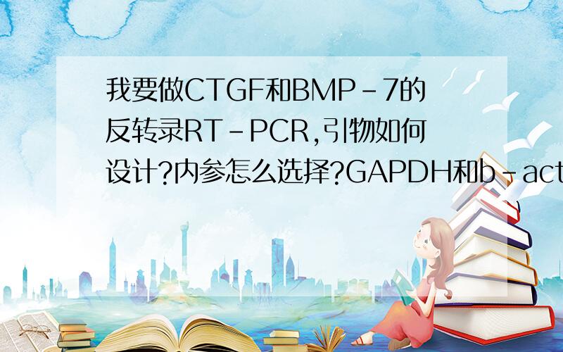 我要做CTGF和BMP-7的反转录RT-PCR,引物如何设计?内参怎么选择?GAPDH和b-actin哪个能用?