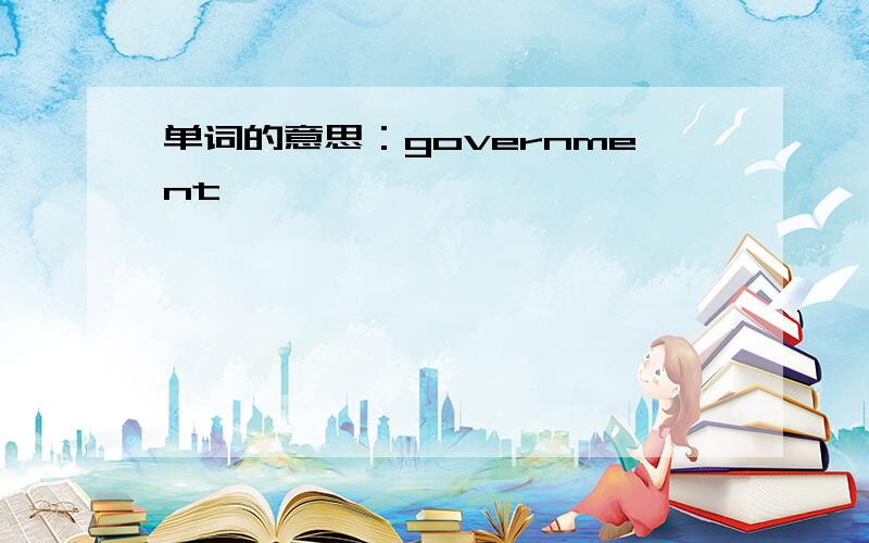 单词的意思：government