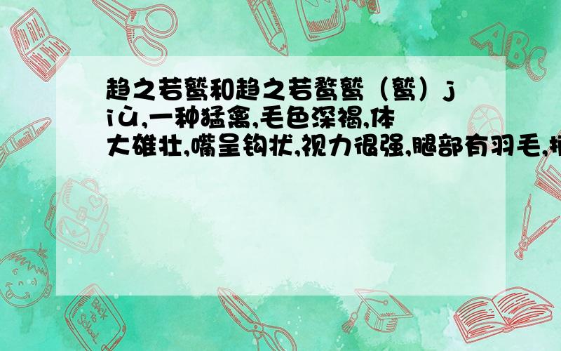 趋之若鹫和趋之若鹜鹫（鹫）jiù,一种猛禽,毛色深褐,体大雄壮,嘴呈钩状,视力很强,腿部有羽毛,捕食野兔,小羊等.亦称“