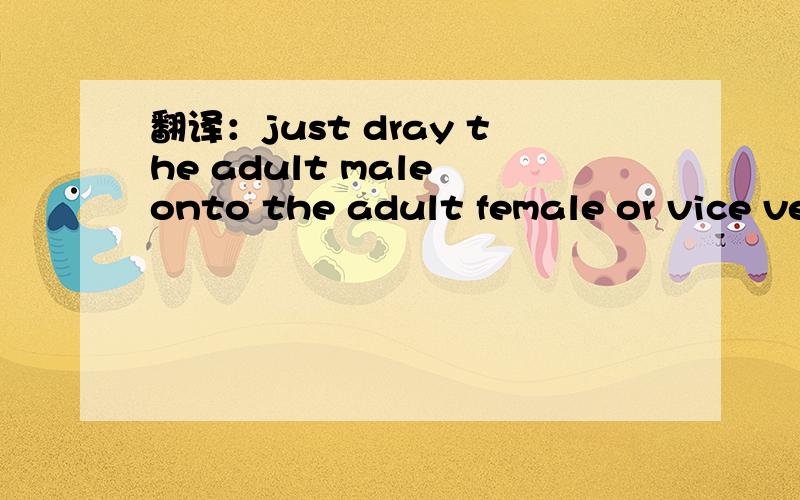 翻译：just dray the adult male onto the adult female or vice ve