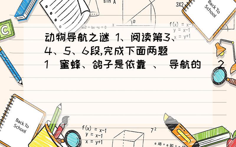 动物导航之谜 1、阅读第3、4、5、6段,完成下面两题（1）蜜蜂、鸽子是依靠 、 导航的 （2）这四段内容的说明顺序是由