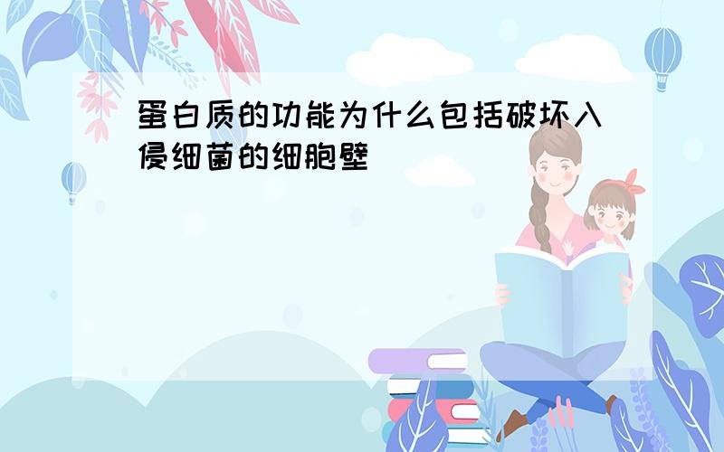 蛋白质的功能为什么包括破坏入侵细菌的细胞壁