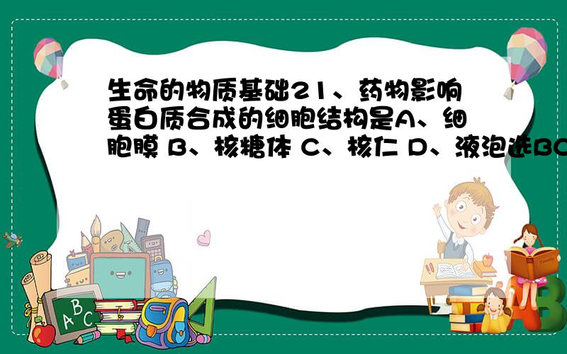 生命的物质基础21、药物影响蛋白质合成的细胞结构是A、细胞膜 B、核糖体 C、核仁 D、液泡选BC 为什么C也选2、下列