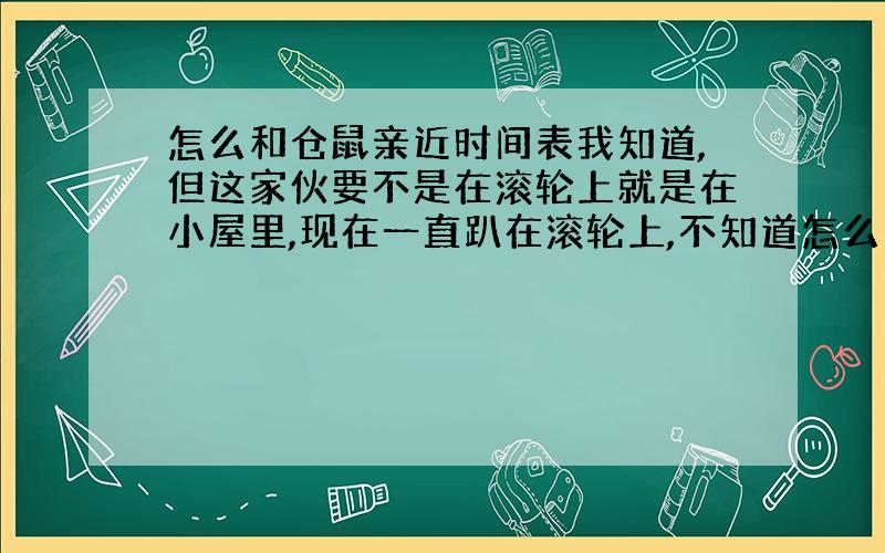 怎么和仓鼠亲近时间表我知道,但这家伙要不是在滚轮上就是在小屋里,现在一直趴在滚轮上,不知道怎么回事.今天第二天,时间表说