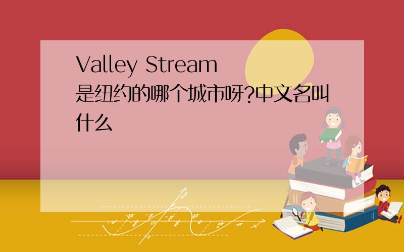 Valley Stream 是纽约的哪个城市呀?中文名叫什么