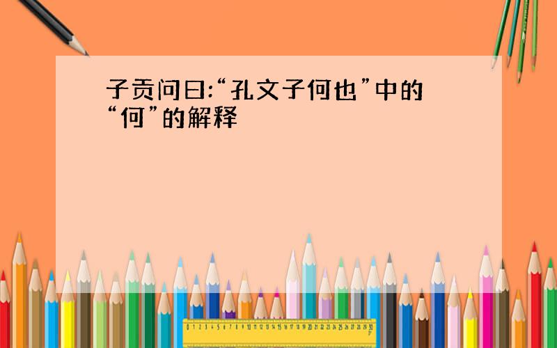 子贡问曰:“孔文子何也”中的“何”的解释