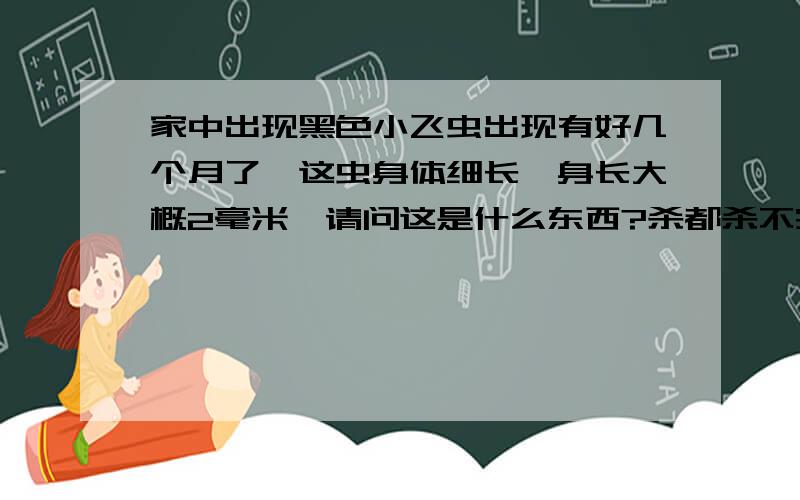 家中出现黑色小飞虫出现有好几个月了,这虫身体细长,身长大概2毫米,请问这是什么东西?杀都杀不完啊,也不知从哪来的,真的很