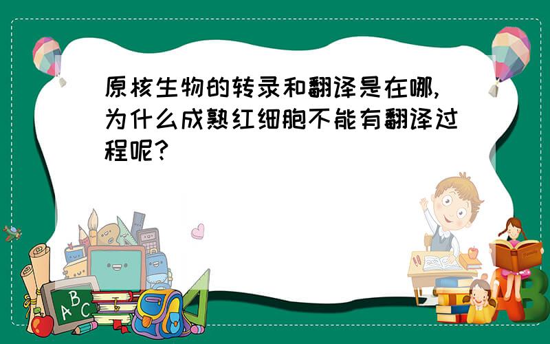 原核生物的转录和翻译是在哪,为什么成熟红细胞不能有翻译过程呢?