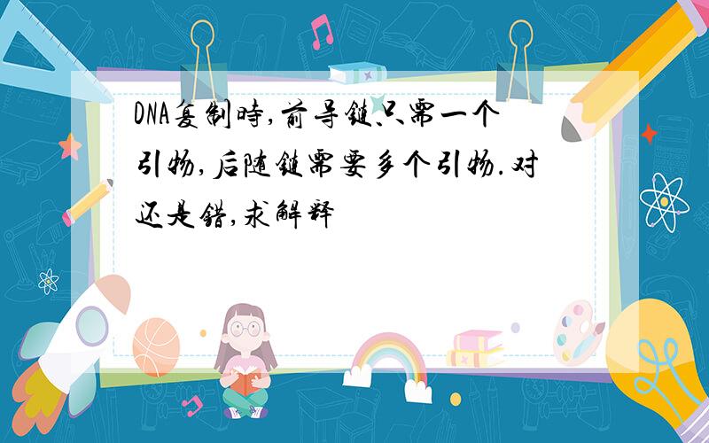 DNA复制时,前导链只需一个引物,后随链需要多个引物.对还是错,求解释