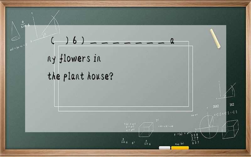 （ ）6）_______ any flowers in the plant house?