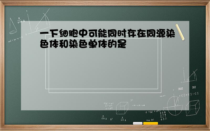 一下细胞中可能同时存在同源染色体和染色单体的是