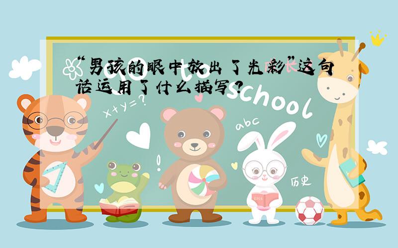 “男孩的眼中放出了光彩”这句话运用了什么描写?