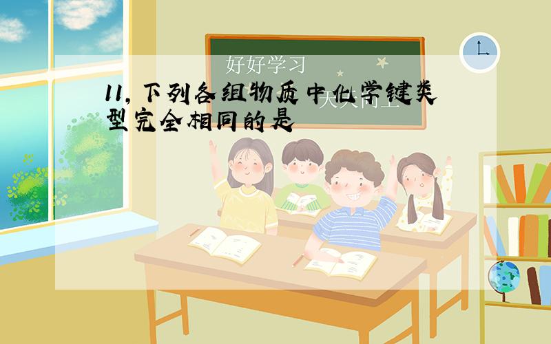 11,下列各组物质中化学键类型完全相同的是