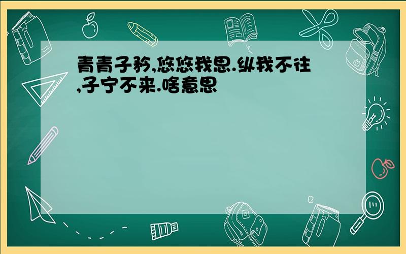 青青子矜,悠悠我思.纵我不往,子宁不来.啥意思