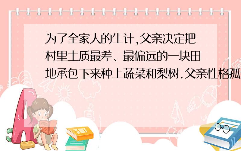 为了全家人的生计,父亲决定把村里土质最差、最偏远的一块田地承包下来种上蔬菜和梨树.父亲性格孤僻,逢