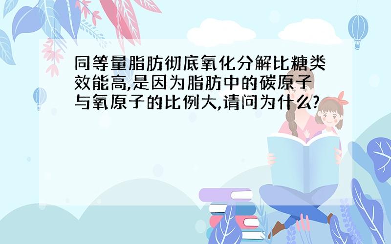 同等量脂肪彻底氧化分解比糖类效能高,是因为脂肪中的碳原子与氧原子的比例大,请问为什么?