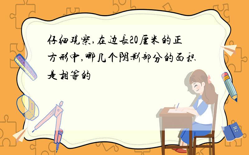 仔细观察,在边长20厘米的正方形中,哪几个阴影部分的面积是相等的