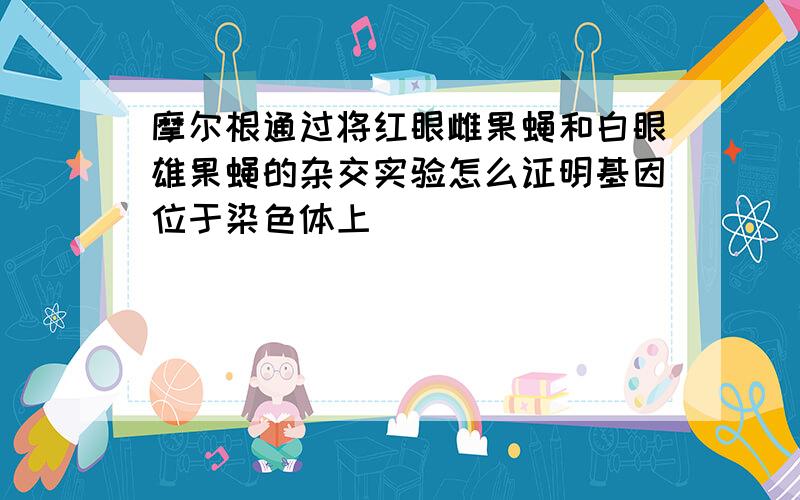 摩尔根通过将红眼雌果蝇和白眼雄果蝇的杂交实验怎么证明基因位于染色体上