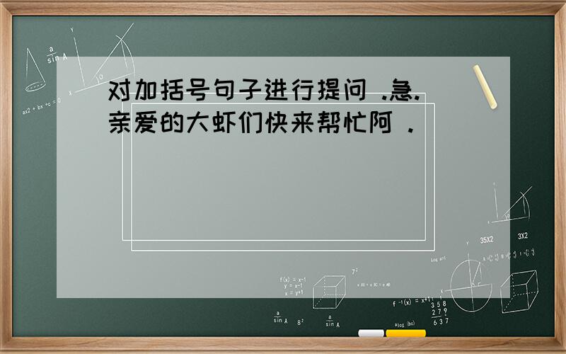 对加括号句子进行提问 .急.亲爱的大虾们快来帮忙阿 .