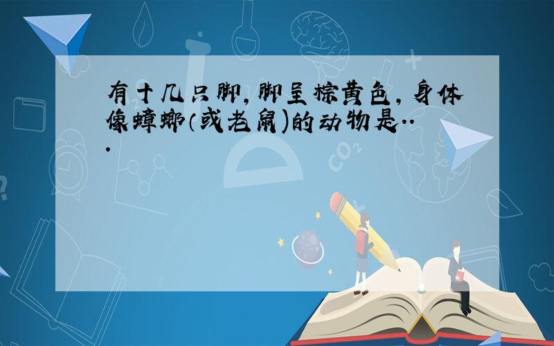 有十几只脚,脚呈棕黄色,身体像蟑螂（或老鼠)的动物是...