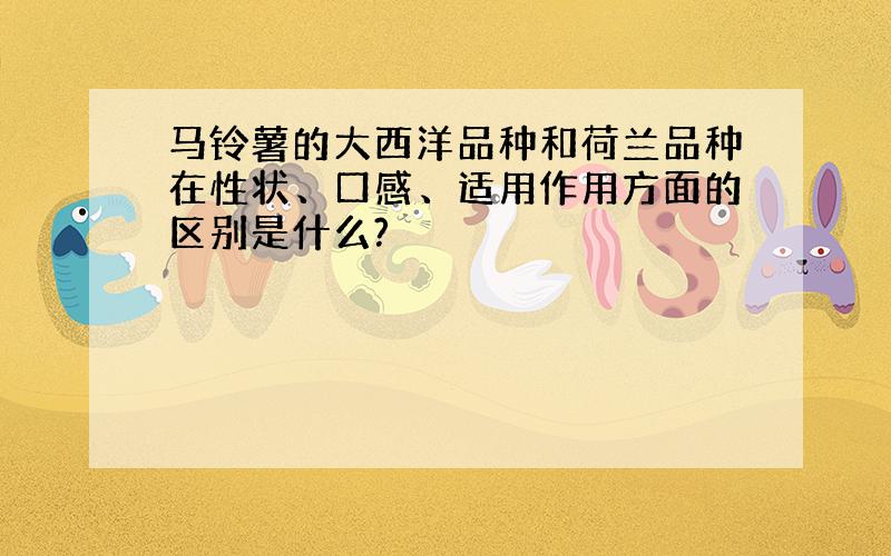 马铃薯的大西洋品种和荷兰品种在性状、口感、适用作用方面的区别是什么?