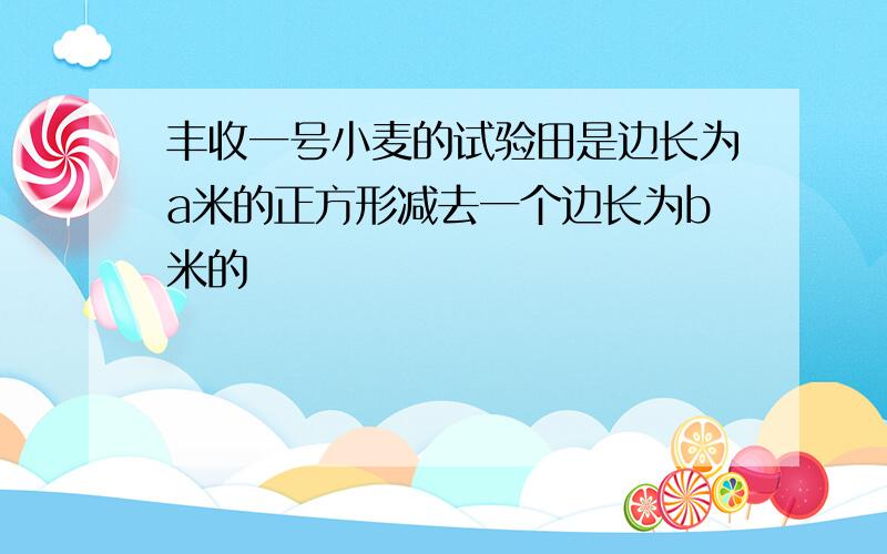 丰收一号小麦的试验田是边长为a米的正方形减去一个边长为b米的