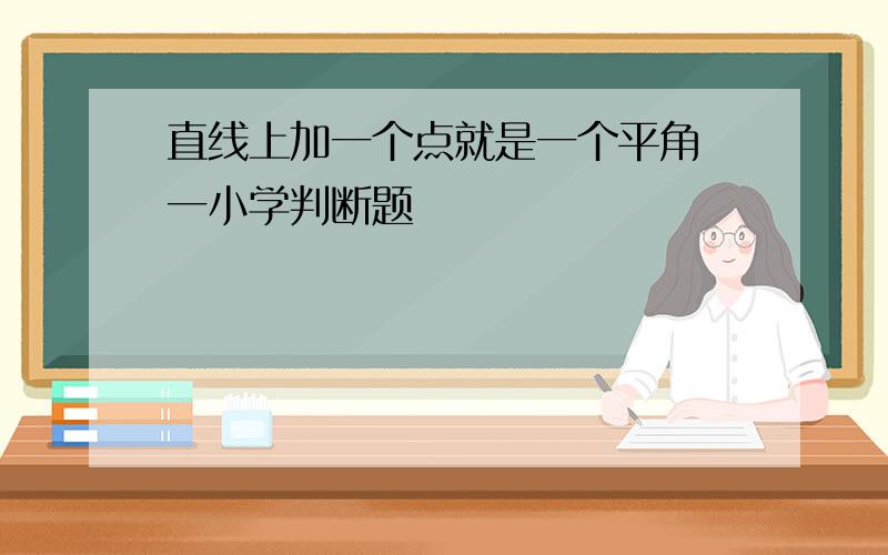 直线上加一个点就是一个平角 一小学判断题