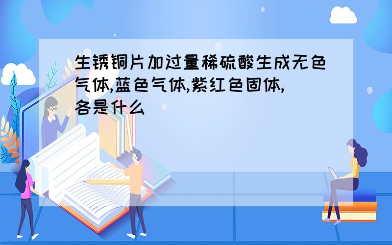 生锈铜片加过量稀硫酸生成无色气体,蓝色气体,紫红色固体,各是什么