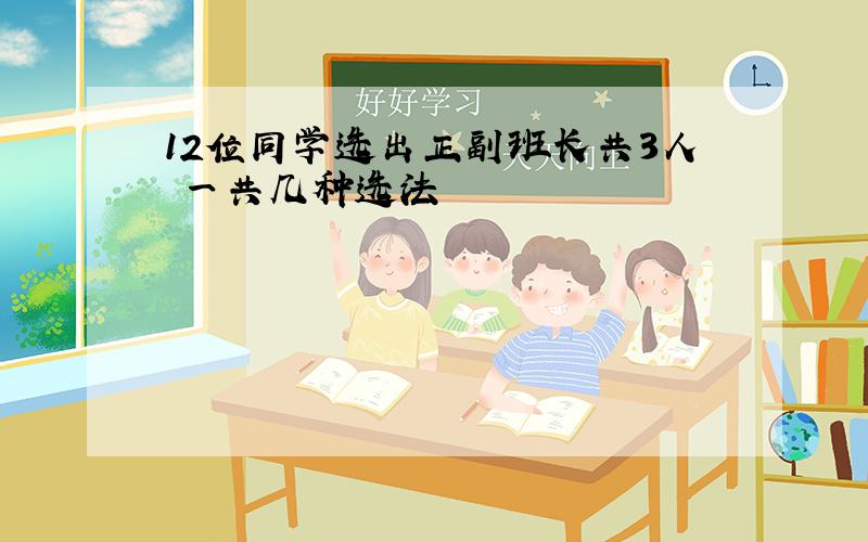 12位同学选出正副班长共3人 一共几种选法