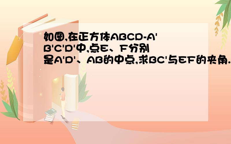 如图,在正方体ABCD-A'B'C'D'中,点E、F分别是A'D'、AB的中点,求BC'与EF的夹角.