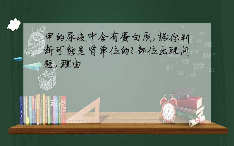 甲的尿液中含有蛋白质,据你判断可能是肾单位的?部位出现问题,理由