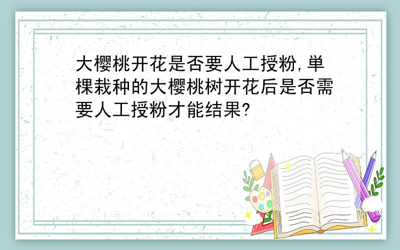 大樱桃开花是否要人工授粉,単棵栽种的大樱桃树开花后是否需要人工授粉才能结果?