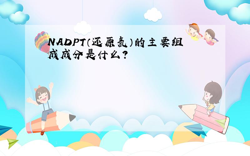 NADPT（还原氢）的主要组成成分是什么?