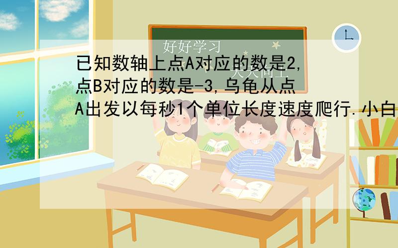 已知数轴上点A对应的数是2,点B对应的数是-3,乌龟从点A出发以每秒1个单位长度速度爬行.小白兔从B点出发,以每秒3个单