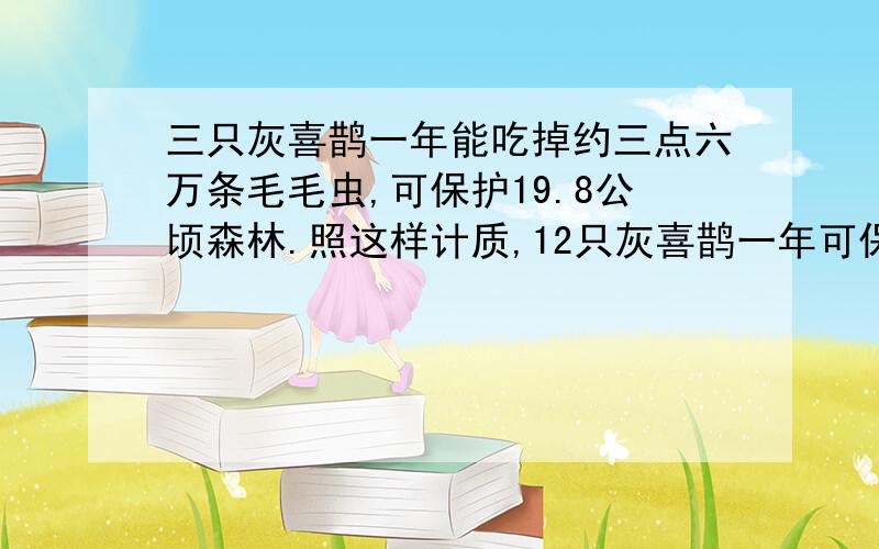 三只灰喜鹊一年能吃掉约三点六万条毛毛虫,可保护19.8公顷森林.照这样计质,12只灰喜鹊一年可保护多少公顷森林?