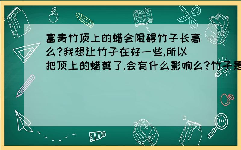 富贵竹顶上的蜡会阻碍竹子长高么?我想让竹子在好一些,所以把顶上的蜡剪了,会有什么影响么?竹子是用泥土栽培的