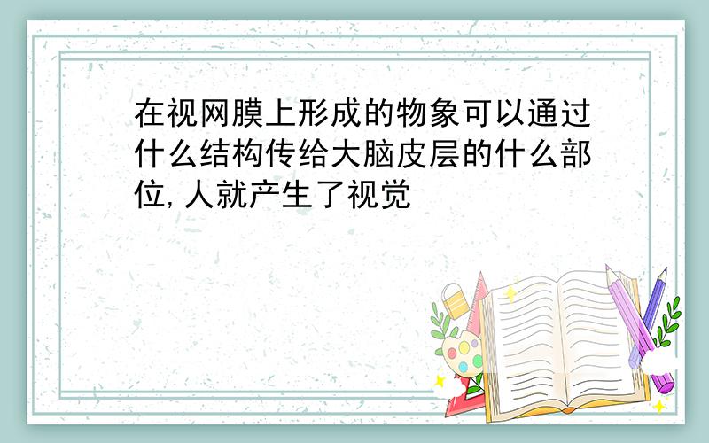 在视网膜上形成的物象可以通过什么结构传给大脑皮层的什么部位,人就产生了视觉