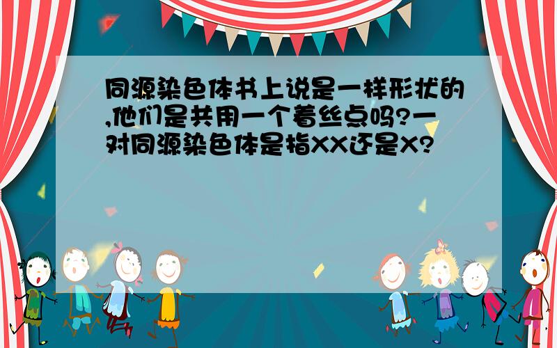 同源染色体书上说是一样形状的,他们是共用一个着丝点吗?一对同源染色体是指XX还是X?