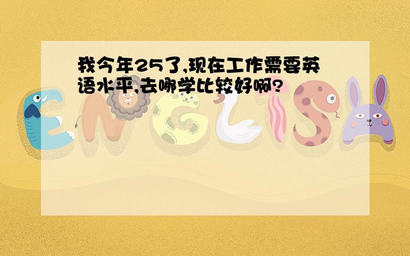 我今年25了,现在工作需要英语水平,去哪学比较好啊?