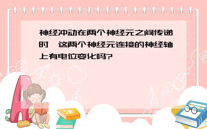 神经冲动在两个神经元之间传递时,这两个神经元连接的神经轴上有电位变化吗?