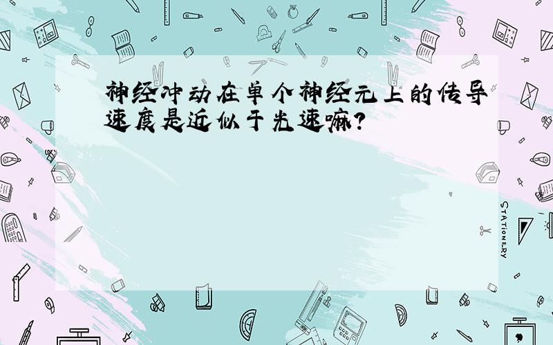 神经冲动在单个神经元上的传导速度是近似于光速嘛?