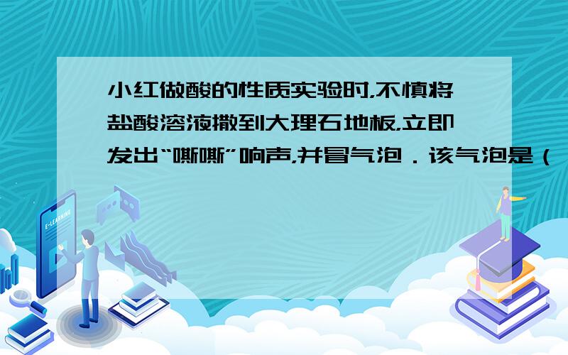 小红做酸的性质实验时，不慎将盐酸溶液撒到大理石地板，立即发出“嘶嘶”响声，并冒气泡．该气泡是（　　）