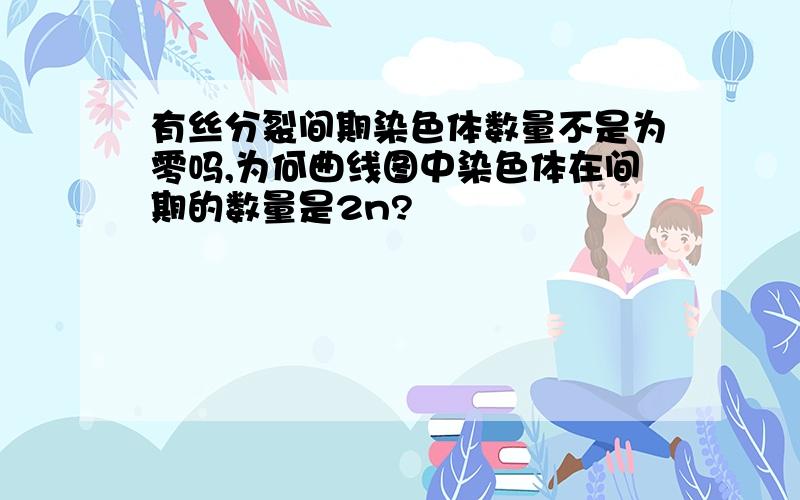 有丝分裂间期染色体数量不是为零吗,为何曲线图中染色体在间期的数量是2n?