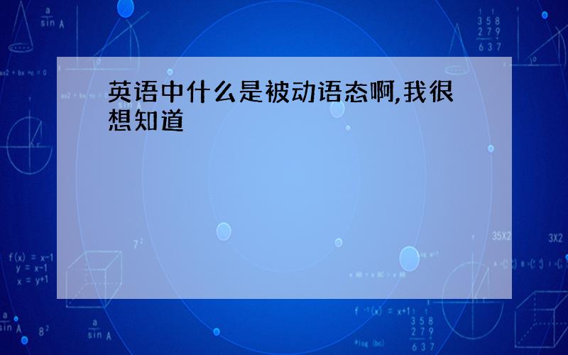 英语中什么是被动语态啊,我很想知道