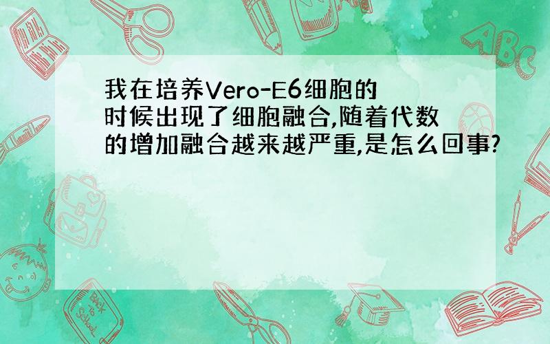 我在培养Vero-E6细胞的时候出现了细胞融合,随着代数的增加融合越来越严重,是怎么回事?