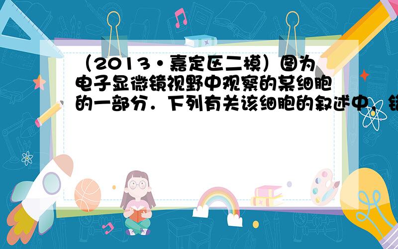 （2013•嘉定区二模）图为电子显微镜视野中观察的某细胞的一部分．下列有关该细胞的叙述中，错误的是（　　）