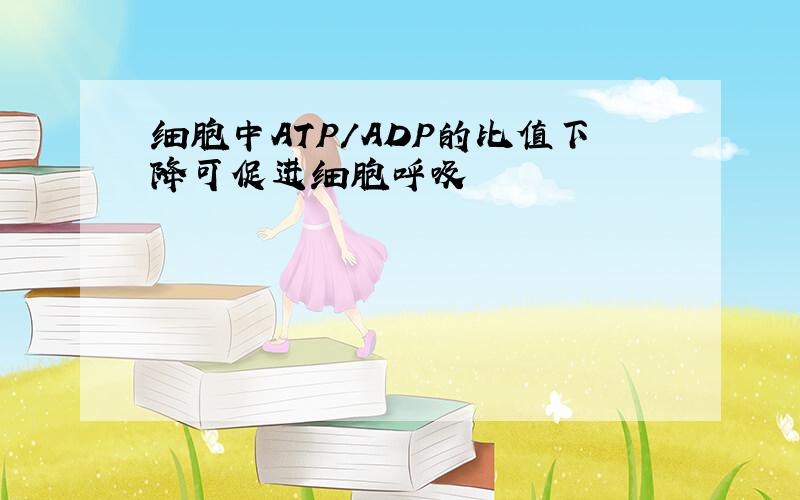 细胞中ATP/ADP的比值下降可促进细胞呼吸