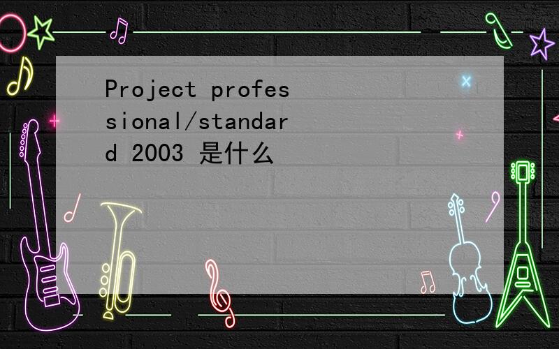 Project professional/standard 2003 是什么