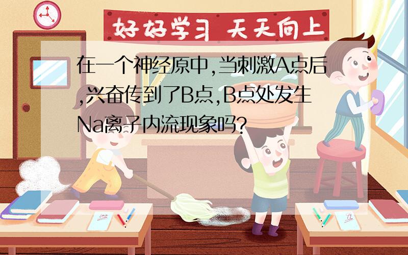 在一个神经原中,当刺激A点后,兴奋传到了B点,B点处发生Na离子内流现象吗?