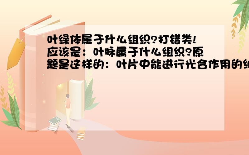 叶绿体属于什么组织?打错类!应该是：叶脉属于什么组织?原题是这样的：叶片中能进行光合作用的细胞位于（ ）,属于（ ）组织